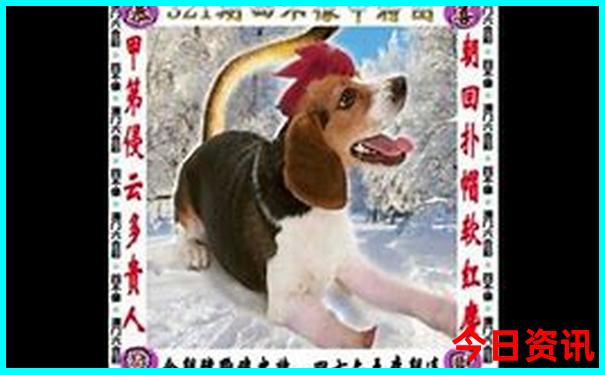 玉笥山的景点介绍